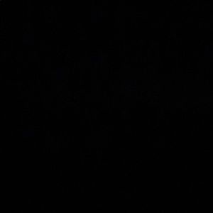 Meet your Posher, Andy